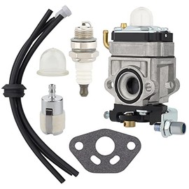 Carburetor for - Thunderbay Y43 Auger Head Y2007 Cultivator 430025 kit