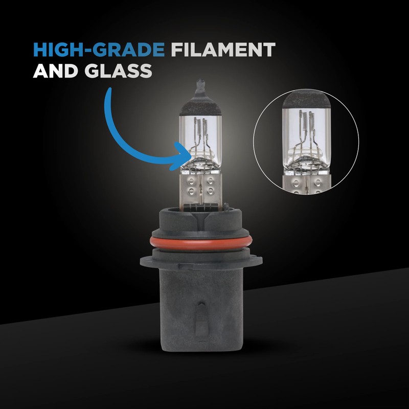 Wagner Lighting BP898 Standard Multi-Purpose Light Bulb Card of 1