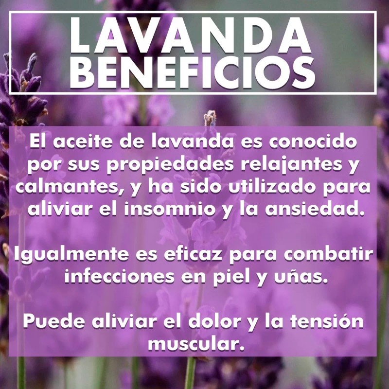 Laferv 4 Piezas De Aceite Esencial Orgánico Lavanda 15 Ml