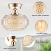 Tbaoinla Semi Flush Mount Ceiling Light - French Gold Finish