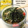 T'SMOMENT Diente de Leon (Whole Dandelion)- 4 oz Wild Dandelion