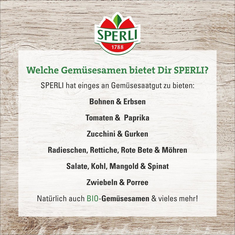 Cherry Tomato Lizzano F1