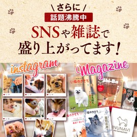 [Veterinarian Supervision] Our Medication Support Supplement, Pets, Dogs, Cats, Additive-Free, 1.1 oz (60 g) / 1 Bag