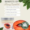 Mamey Sapote Oil Pure Organic Cold Pressed Unrefined 4 fl