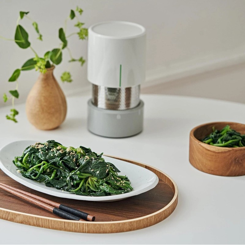 MIKANG Dehydrator Water of Vegetables & Greek Yogurt Maker DAJJAGOJJA