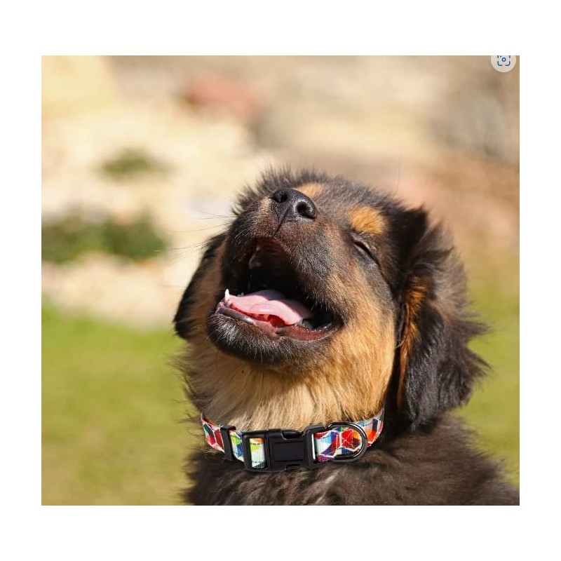 Cosyhomelondon adjustableCollar with Patternsa and reflective lines, Soft Comfy Pet