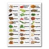 60 Spice Labels Jar Bottle Illustrated Stickers Labels