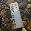 Water Insulator - Fukuoki