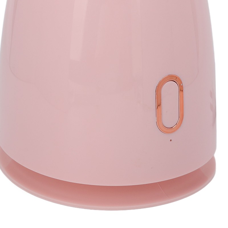 Facial Steamer with 100ml Water Tank Moisturizing Cleaning Pores Mist