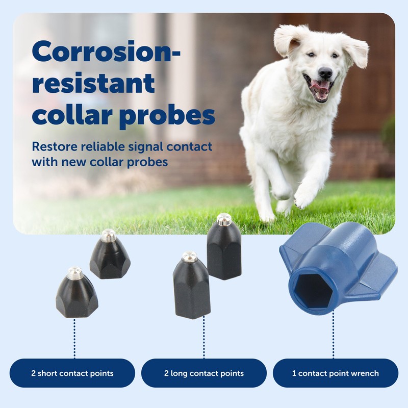 PetSafe Replacement Contact Points - Extra Collar Prongs Kit for