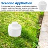 2" PVC Sewer Cleanout Adapter with Plug Pipe Fitting, PVC