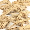 Koyal Wholesale Natural Cholla Wood Aquarium Branches, Airplants Decor, Reptile