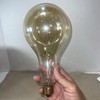 Bulbrite New Vtg Giant Edison Bulb 100W Nostalgic Spiral Filament