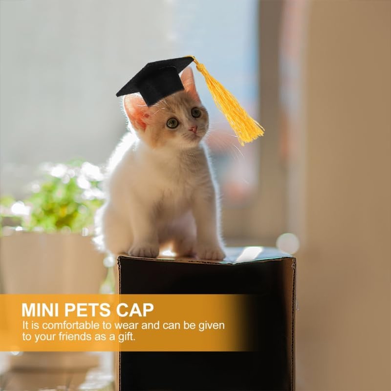 DOITOOL 4 Pieces Pet Graduation Cap Rabbit Graduation Cap Mini