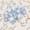 12Pcs Blue Preserved Dried Flowers Plant,Wide Applications Dried Pressed Flowers
