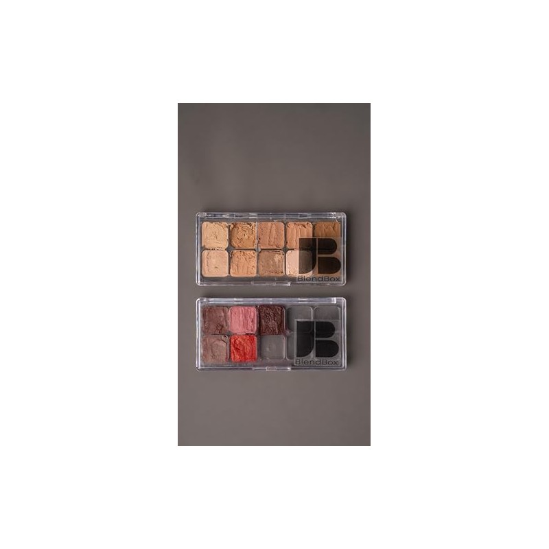Makeup Palette Pro Paleta Vacía de Maquillaje Transparente con 10