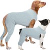 IECOii Dog Wound Care Shirt, Leg Sleeves to Stop Licking