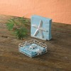 Park Designs Starfish Beverage Napkin Holder