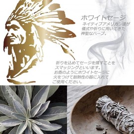 White Sage Bundle (3 Bundle) Purifying Incense Smudging THE EARTH GRACE