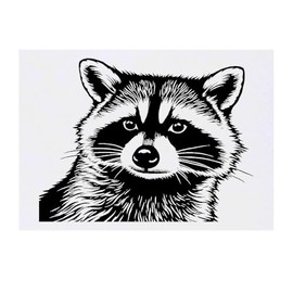'Raccoon Front View' Temporary Tattoo - Water Resistant, Skin-Safe, Non-Toxic Transfer (TO00080491)