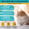 Woyamay Cat Calming Diffuser Refills - 4 Pack Cat Pheromones