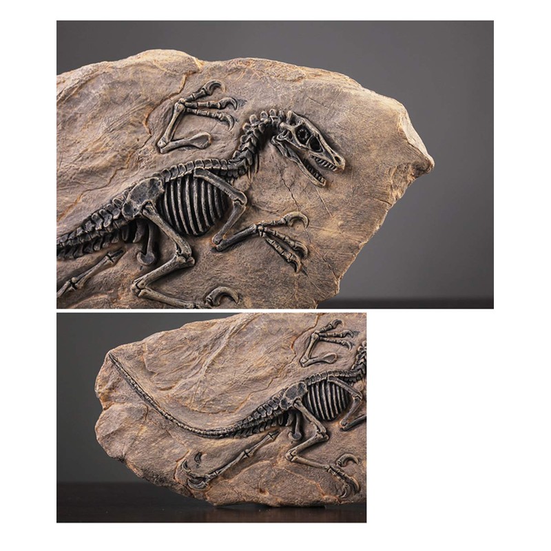 XINDAM Resin Dinosaur Fossil Statue Model Simulated Skeleton Home Office