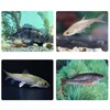 Cicada Bait Attractant | Artificial Cicada Bass Lure Crank Baits