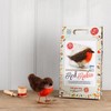 The Crafty Kit Company British Birds Robin Needle Felting Kit