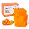 QualiLife 체취 조절을 위한 QualiLife 3 PCS 감 비누 -