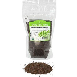 Handy Pantry Broccoli Sprouts Seed Organic- 1 Lb - Non-GMO Organic Broccoli Seeds for Sprouting, Microgreens Sprouting Seeds, Contain Sulforaphane