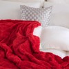 Linecooo RED Fleece Throw Blanket 50”×70” for Couch Sofa Bed,Super