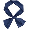 Allegra K Neckerchief Ribbon Scarf, Silk, Rectangle, Thin Belt, Hair