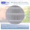 PUREBURG 2-Pack Replacement HEPA Filters Compatible with HIMOX H07 portable
