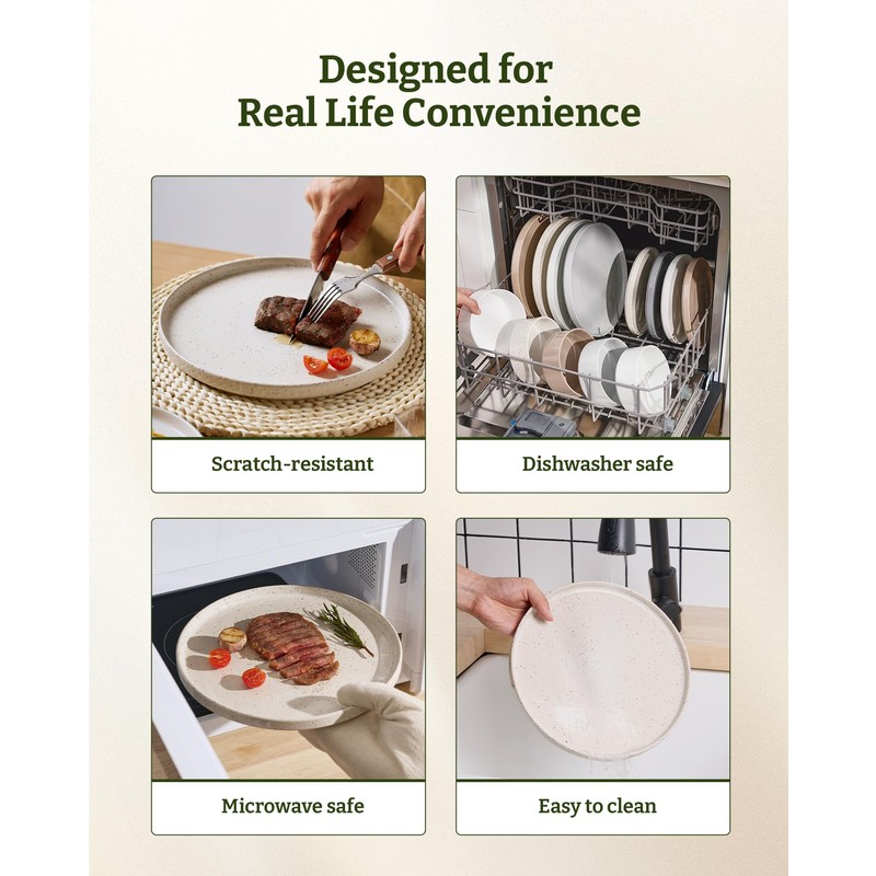 Famiware Nebula Plates and Bowls Sets, 12 Pieces Dinnerware Sets,
