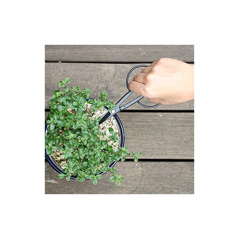 Kobayashi Made in Scissor Harvester Gardening Shears