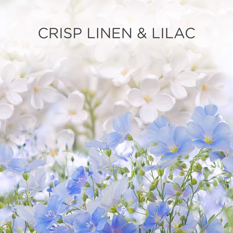 Air Wick Electrical Plug In Refills, Crisp Linen and Lilac,