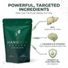 Hangovr Party Recovery Supplement, Wake Up Fresh | 40 Capsules,