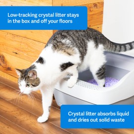 PetSafe ScoopFree Premium Crystal Cat Litter - 5x Better Odor Control Than Clay Litter - Less Tracking & Dust For A Fresh Home - Non-Clumping - Two 4.3 lb Bags Of Litter (8.6 lb Total) - Lavender