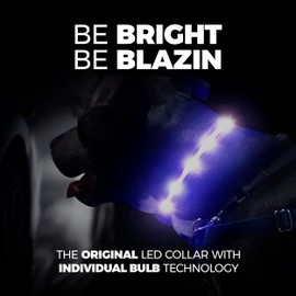 Blazin Brightest Light Up Dog Collars - The Original LED Dog Collar with 1,000 Feet of Visibility - USB Rechargeable Waterproof Dog Collar Light - Dog Lights for Night Walking - USA Brand