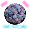 Boujee Munchies Cotton Candy Gushers Sweet Gummy Filled Snack Fruit