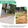 Succulent Rocks for Plants Tiny Pebbles for Planters 4.8LB Pea