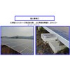 Bee Bee Flash III Crow Protection, Solar Panel Specifications, Bird