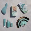 Clinuance Permanent Colouration without Ammonia, Sensitive Hair, 10.1 Champagne Blonde,