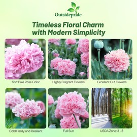 Outsidepride Peony Pale Rose Poppy Seeds for Planting - 10,000 Pcs Annual, Drought-Tolerant & Easy to Grow Wildflower Seeds with Vibrant Light Pink Blooms for Landscaping, & Pollinator Garden