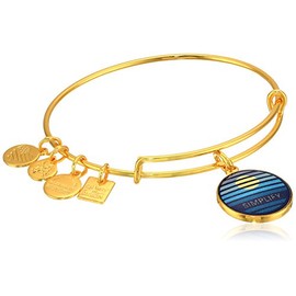 Alex and Ani Women's Charity by Design Simplify Bangle Gold-Tone One Size