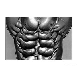 ALGRA Muscle Poster Abdominal (24" x 36" Poster)