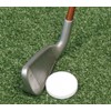 IZZO Golf Flatball Swing Golf Training Aid, White