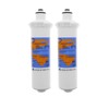 IPW Industries Inc-Omnipure - (E5520-P) - 10" x 2.5" E-Series