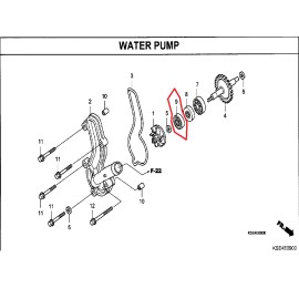 HONDA GENUINE OEM HONDA WATER PUMP SEAL CRF250R 07-09 CRF250X 07-2017 CRF150R/RB 07-22