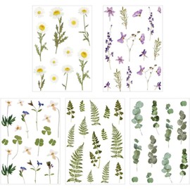 Pegatinas Decorativas para Manualidades y Artesanías Hechas para Cuadernos y Agendas, 5 Hojas de Plástico Varios estilos para Mujer Varios estilos